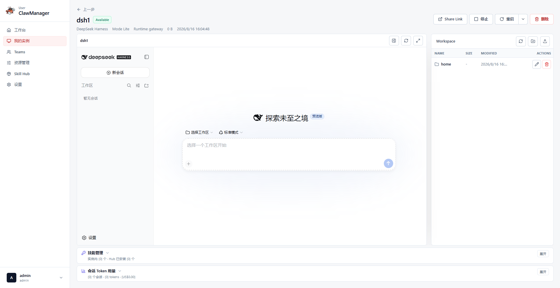 DeepSeek Harness managed workspace